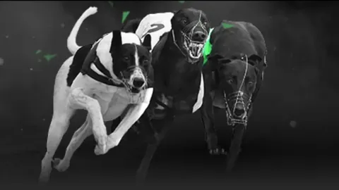 赵继伟助辽首战胜利，CBA揭幕战迅速归来